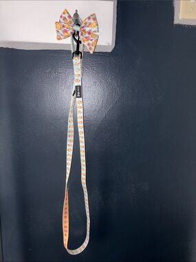 Sassy woof dog leash and bow